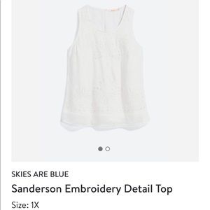 SKIES ARE BLUE TOP NWOT